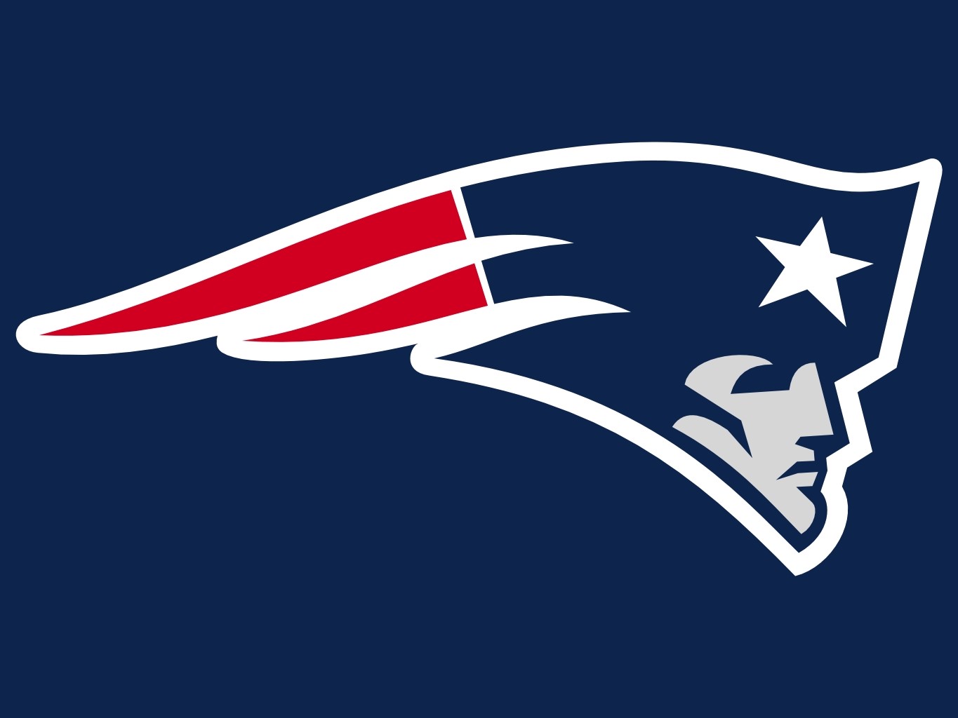 2013 NFL Season Preview- New England Patriots | Sports Room Blog1365 x 1024
